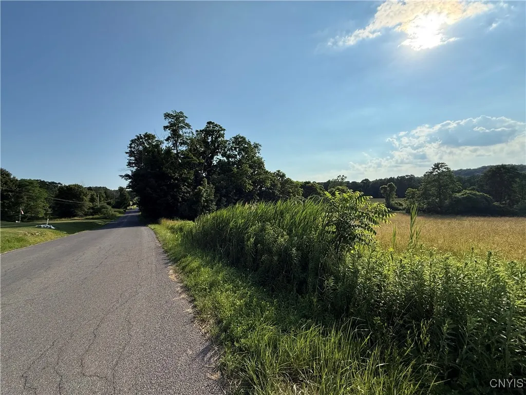 2359 Sands Road, Camillus, New York 13031, Camillus, New York 13031, 3 Bedrooms Bedrooms, ,1 BathroomBathrooms,Land,For Sale,2359 Sands Road, Camillus, New York 13031,S1621297