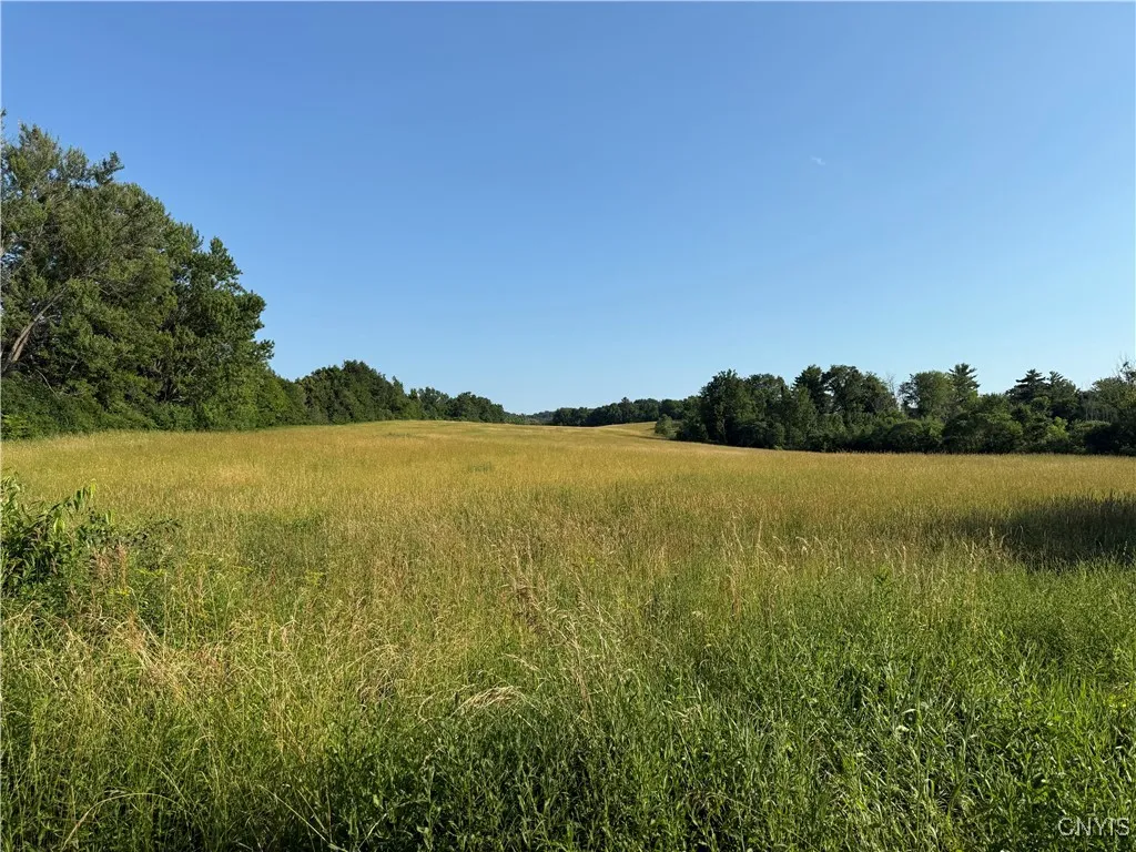 2359 Sands Road, Camillus, New York 13031, Camillus, New York 13031, 3 Bedrooms Bedrooms, ,1 BathroomBathrooms,Land,For Sale,2359 Sands Road, Camillus, New York 13031,S1621297