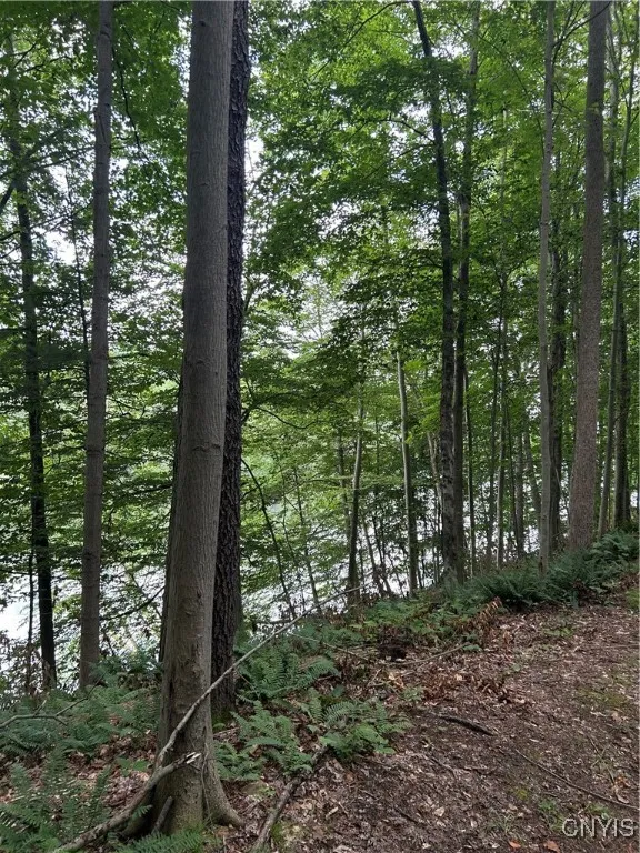 123 Millard Bassett Road, Granby, New York 13069, Granby, New York 13069, 4 Bedrooms Bedrooms, ,3 BathroomsBathrooms,Land,For Sale,123 Millard Bassett Road, Granby, New York 13069,S1621738