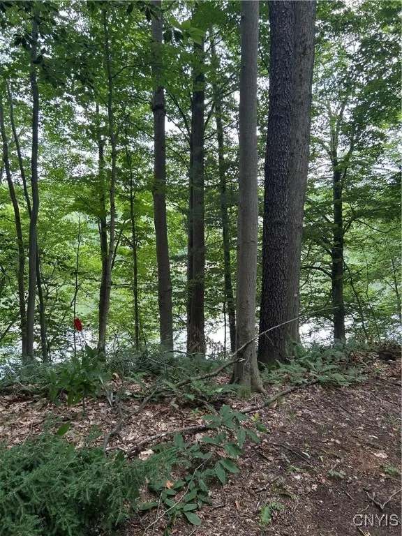123 Millard Bassett Road, Granby, New York 13069, Granby, New York 13069, 4 Bedrooms Bedrooms, ,3 BathroomsBathrooms,Land,For Sale,123 Millard Bassett Road, Granby, New York 13069,S1621738