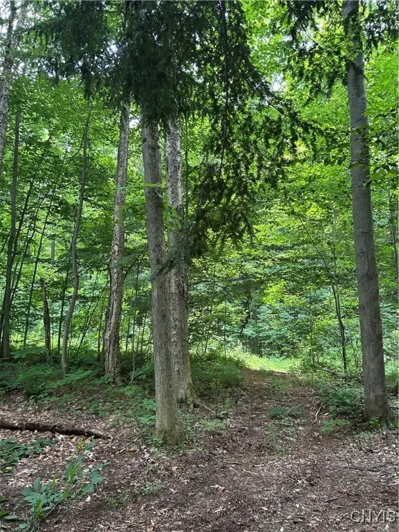 123 Millard Bassett Road, Granby, New York 13069, Granby, New York 13069, 4 Bedrooms Bedrooms, ,3 BathroomsBathrooms,Land,For Sale,123 Millard Bassett Road, Granby, New York 13069,S1621738