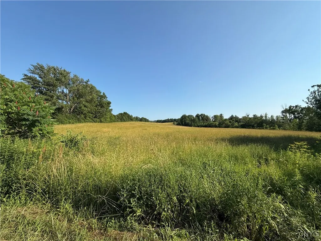 2359 Sands Road, Camillus, New York 13031, Camillus, New York 13031, 3 Bedrooms Bedrooms, 6 Rooms Rooms,1 BathroomBathrooms,Residential,For Sale,2359 Sands Road, Camillus, New York 13031,S1621295
