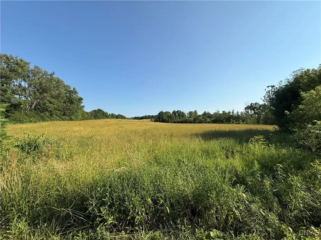 2359 Sands Road, Camillus, New York 13031, Camillus, New York 13031, 3 Bedrooms Bedrooms, 6 Rooms Rooms,1 BathroomBathrooms,Residential,For Sale,2359 Sands Road, Camillus, New York 13031,S1621295