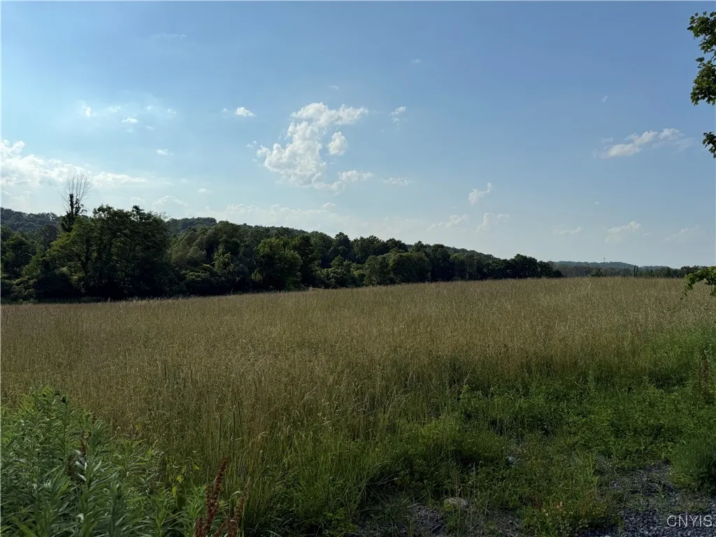 2359 Sands Road, Camillus, New York 13031, Camillus, New York 13031, 3 Bedrooms Bedrooms, 6 Rooms Rooms,1 BathroomBathrooms,Residential,For Sale,2359 Sands Road, Camillus, New York 13031,S1621295