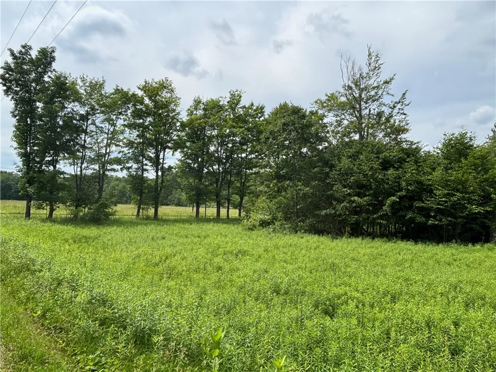 0 Division Street, Hamlin, Pennsylvania 16740, Hamlin, Pennsylvania 16740, ,Land,For Sale,0 Division Street, Hamlin, Pennsylvania 16740,R1616926