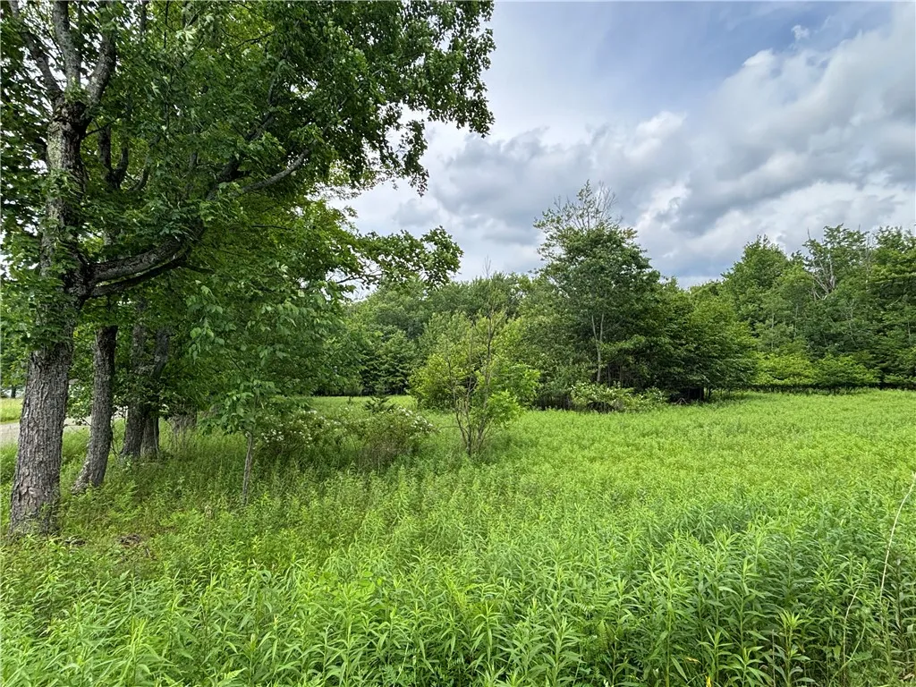 0 Division Street, Hamlin, Pennsylvania 16740, Hamlin, Pennsylvania 16740, ,Land,For Sale,0 Division Street, Hamlin, Pennsylvania 16740,R1616926