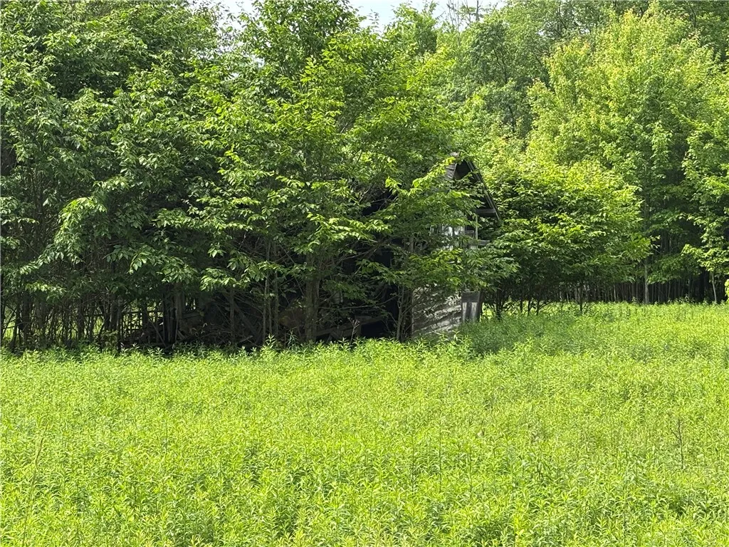 0 Division Street, Hamlin, Pennsylvania 16740, Hamlin, Pennsylvania 16740, ,Land,For Sale,0 Division Street, Hamlin, Pennsylvania 16740,R1616926