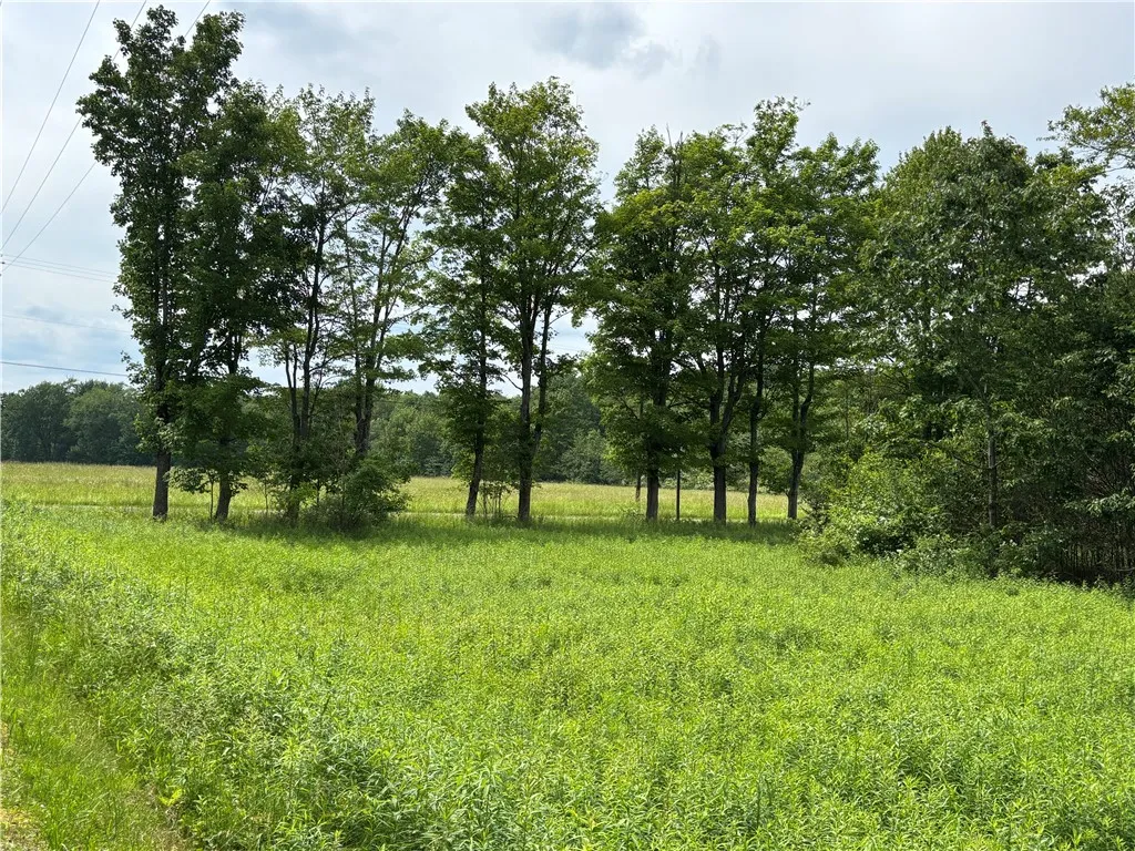 0 Division Street, Hamlin, Pennsylvania 16740, Hamlin, Pennsylvania 16740, ,Land,For Sale,0 Division Street, Hamlin, Pennsylvania 16740,R1616926