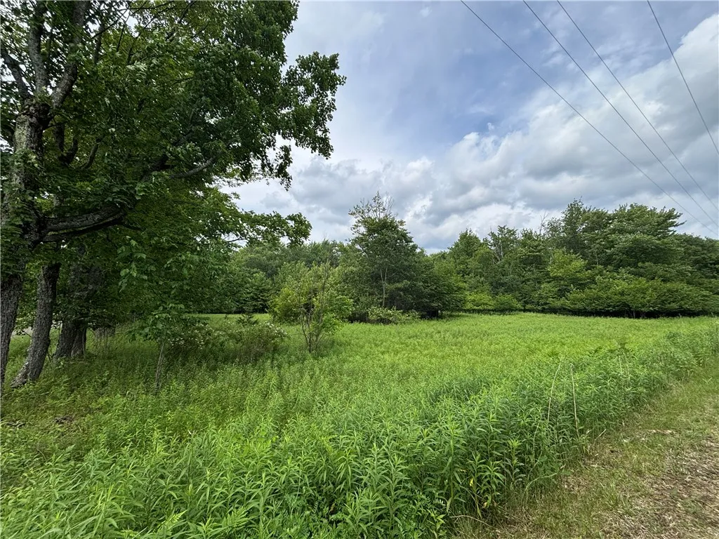 0 Division Street, Hamlin, Pennsylvania 16740, Hamlin, Pennsylvania 16740, ,Land,For Sale,0 Division Street, Hamlin, Pennsylvania 16740,R1616926