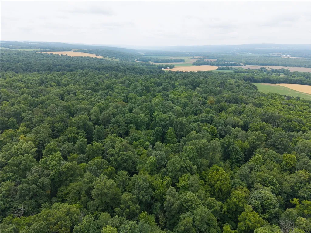 00 Groveland Station Road, Groveland, New York 144, Groveland, New York 14462, ,Land,For Sale,00 Groveland Station Road, Groveland, New York 144,R1619024