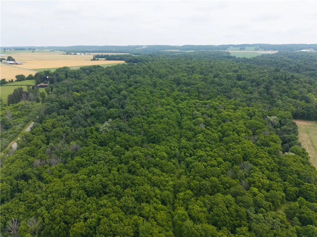 00 Groveland Station Road, Groveland, New York 144, Groveland, New York 14462, ,Land,For Sale,00 Groveland Station Road, Groveland, New York 144,R1619024