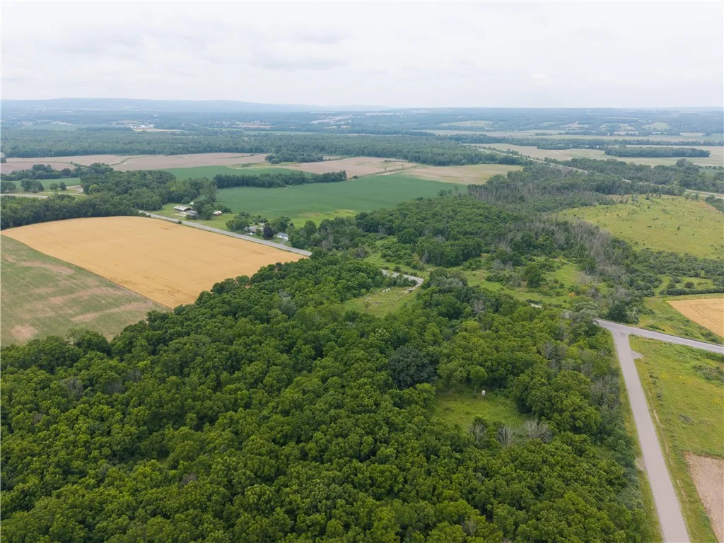 00 Groveland Station Road, Groveland, New York 144, Groveland, New York 14462, ,Land,For Sale,00 Groveland Station Road, Groveland, New York 144,R1619024