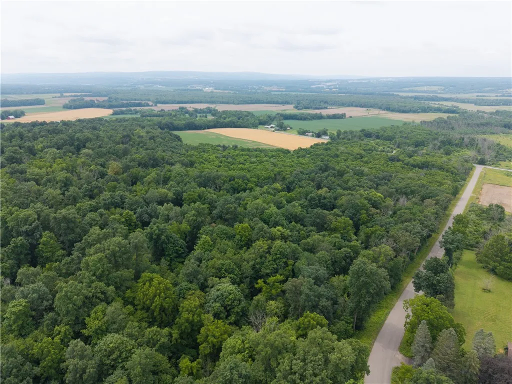 00 Groveland Station Road, Groveland, New York 144, Groveland, New York 14462, ,Land,For Sale,00 Groveland Station Road, Groveland, New York 144,R1619024