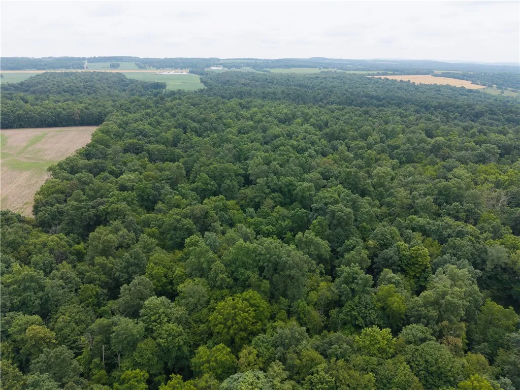 00 Groveland Station Road, Groveland, New York 144, Groveland, New York 14462, ,Land,For Sale,00 Groveland Station Road, Groveland, New York 144,R1619024