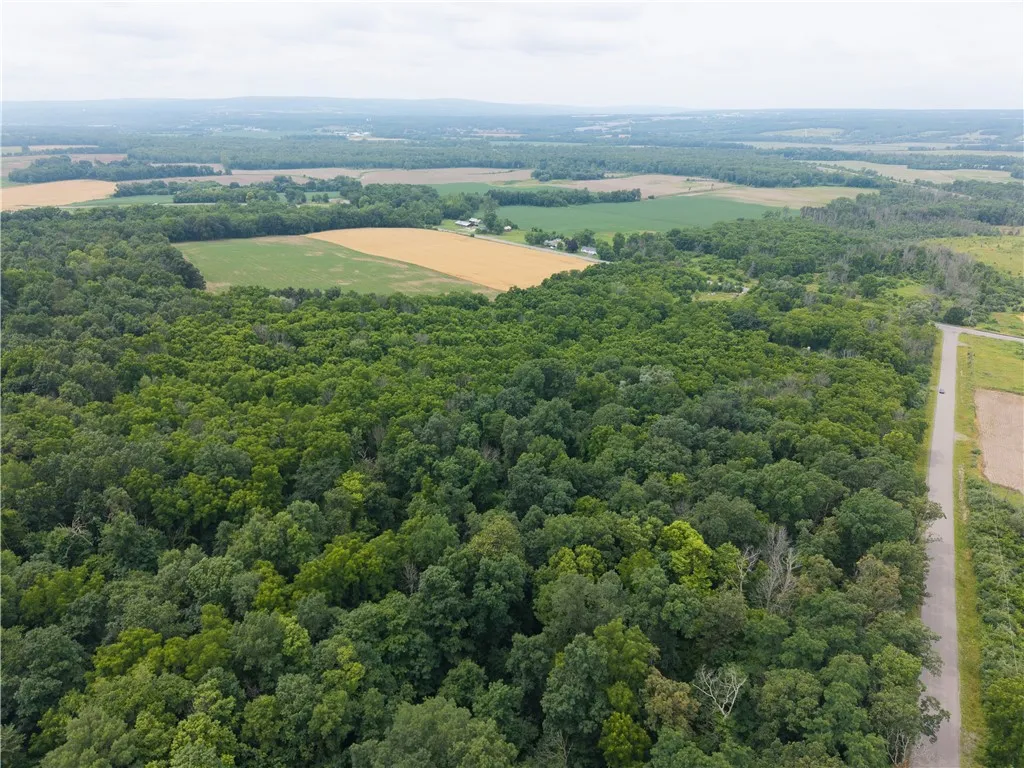 00 Groveland Station Road, Groveland, New York 144, Groveland, New York 14462, ,Land,For Sale,00 Groveland Station Road, Groveland, New York 144,R1619024
