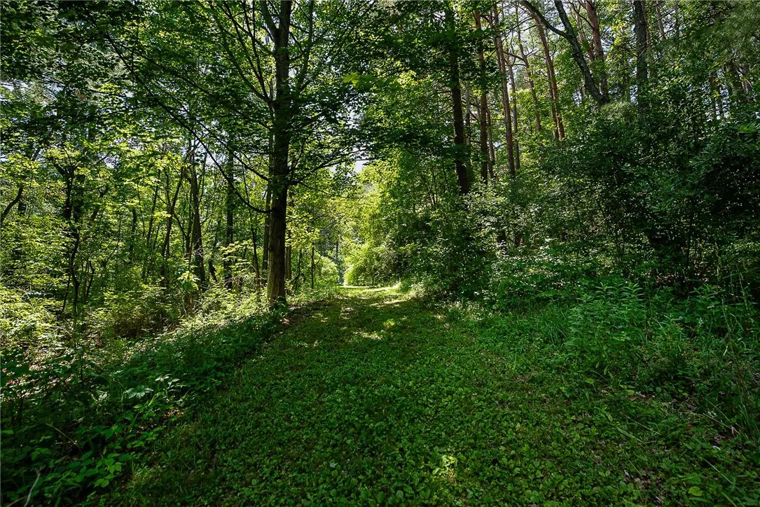 6088 Middlebrook Road, South Bristol, New York 145, South Bristol, New York 14512, 2 Bedrooms Bedrooms, 9 Rooms Rooms,2 BathroomsBathrooms,Residential,For Sale,6088 Middlebrook Road, South Bristol, New York 145,R1621806