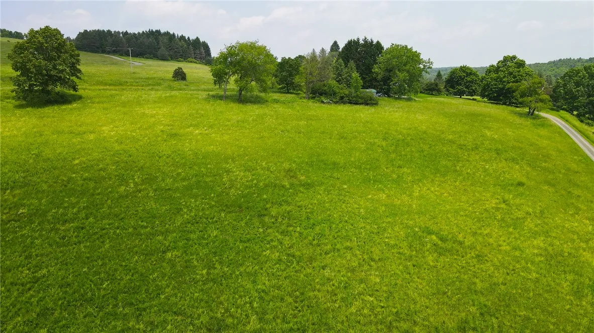 Cr-60, Chemung, New York 14825, Chemung, New York 14825, ,Land,For Sale,Cr-60, Chemung, New York 14825,R1621819