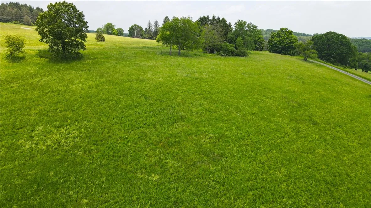 Cr-60, Chemung, New York 14825, Chemung, New York 14825, ,Land,For Sale,Cr-60, Chemung, New York 14825,R1621819
