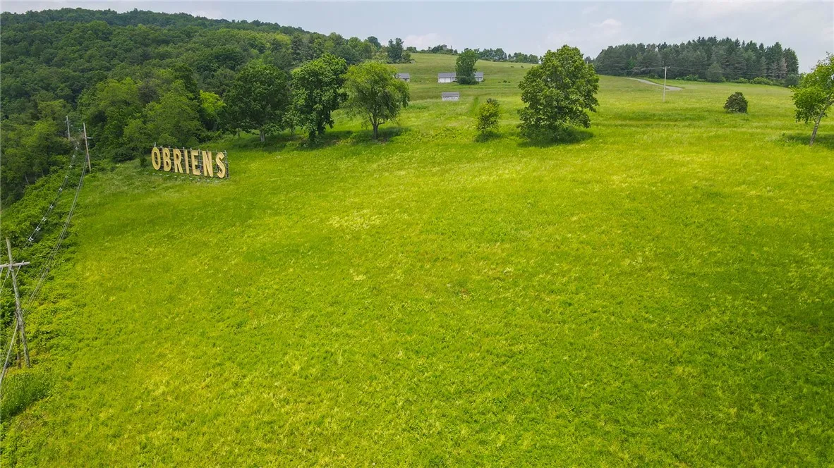 Cr-60, Chemung, New York 14825, Chemung, New York 14825, ,Land,For Sale,Cr-60, Chemung, New York 14825,R1621819