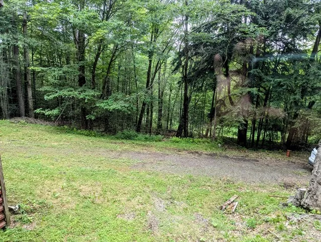 198 Spring Run Road, Norwich, Pennsylvania 16749, Norwich, Pennsylvania 16749, 1 Bedroom Bedrooms, 5 Rooms Rooms,1 BathroomBathrooms,Land,For Sale,198 Spring Run Road, Norwich, Pennsylvania 16749,R1621885