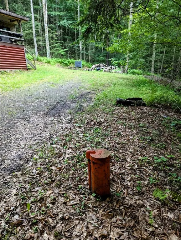 198 Spring Run Road, Norwich, Pennsylvania 16749, Norwich, Pennsylvania 16749, 1 Bedroom Bedrooms, 5 Rooms Rooms,1 BathroomBathrooms,Land,For Sale,198 Spring Run Road, Norwich, Pennsylvania 16749,R1621885