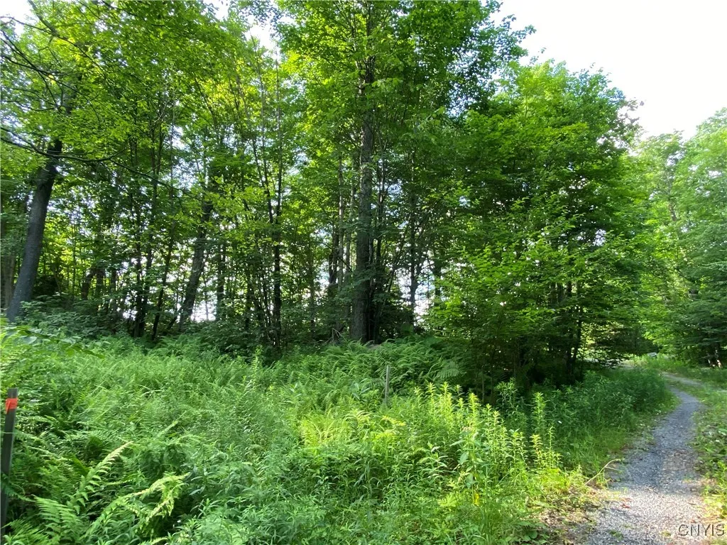 1517 State Route 28, Webb, New York 13472, Webb, New York 13472, ,Land,For Sale,1517 State Route 28, Webb, New York 13472,S1621752