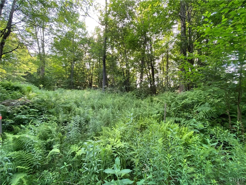 1517 State Route 28, Webb, New York 13472, Webb, New York 13472, ,Land,For Sale,1517 State Route 28, Webb, New York 13472,S1621752