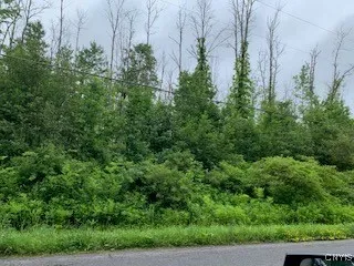 County Line Road, Granby, New York 13135, Granby, New York 13135, ,Land,For Sale,County Line Road, Granby, New York 13135,S1621852