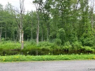 beaver pond
