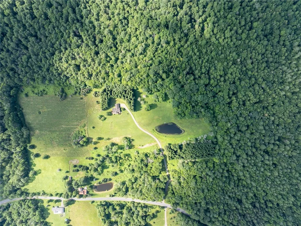 155 Hall Road, Afton, New York 13730, Afton, New York 13730, 4 Bedrooms Bedrooms, 10 Rooms Rooms,2 BathroomsBathrooms,Residential,For Sale,155 Hall Road, Afton, New York 13730,R1621220
