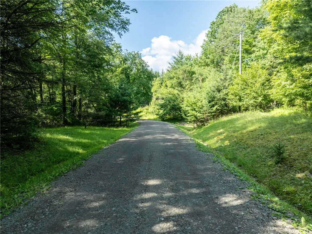 155 Hall Road, Afton, New York 13730, Afton, New York 13730, 4 Bedrooms Bedrooms, 10 Rooms Rooms,2 BathroomsBathrooms,Residential,For Sale,155 Hall Road, Afton, New York 13730,R1621220