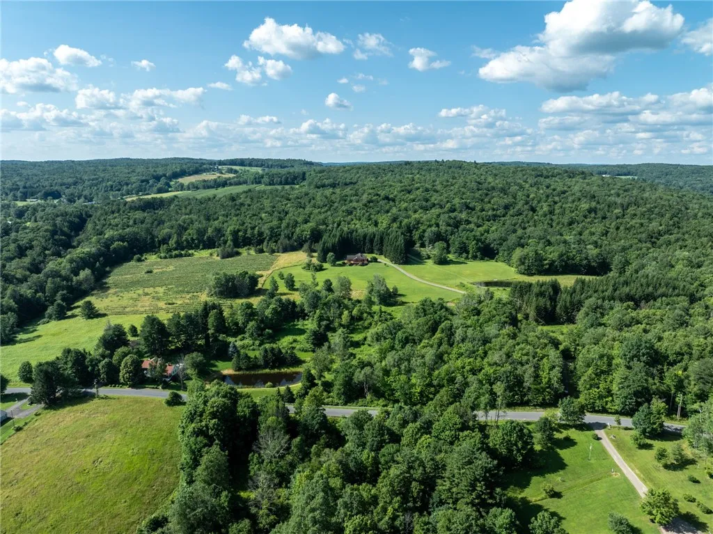 155 Hall Road, Afton, New York 13730, Afton, New York 13730, 4 Bedrooms Bedrooms, 10 Rooms Rooms,2 BathroomsBathrooms,Residential,For Sale,155 Hall Road, Afton, New York 13730,R1621220