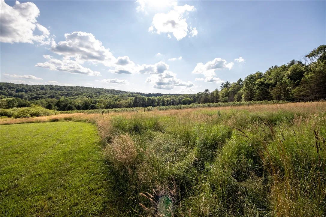 155 Hall Road, Afton, New York 13730, Afton, New York 13730, 4 Bedrooms Bedrooms, 10 Rooms Rooms,2 BathroomsBathrooms,Residential,For Sale,155 Hall Road, Afton, New York 13730,R1621220