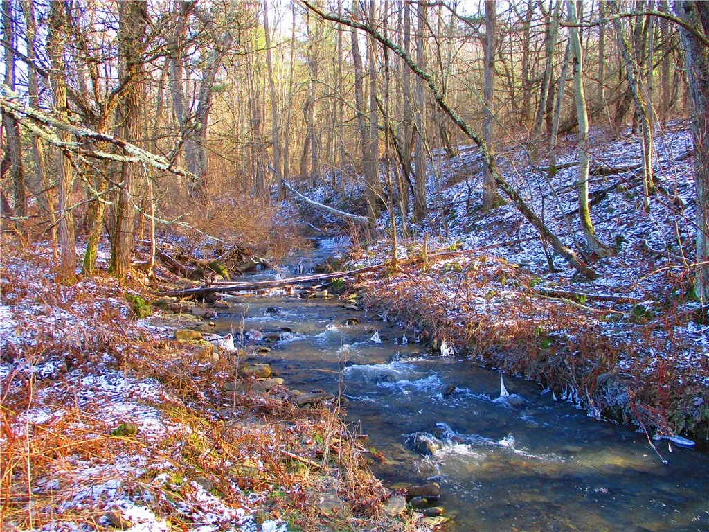 Stream