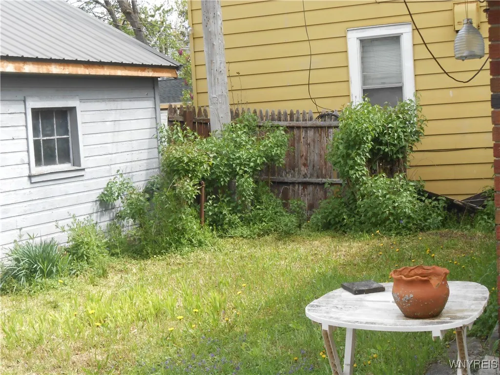 Back Yard
