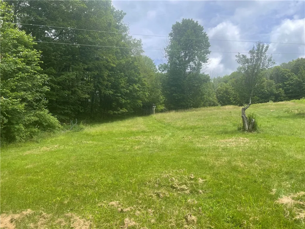 858 Randall Hill Road, Masonville, New York 13839, Masonville, New York 13839, 3 Bedrooms Bedrooms, 8 Rooms Rooms,1 BathroomBathrooms,Residential,For Sale,858 Randall Hill Road, Masonville, New York 13839,R1621250
