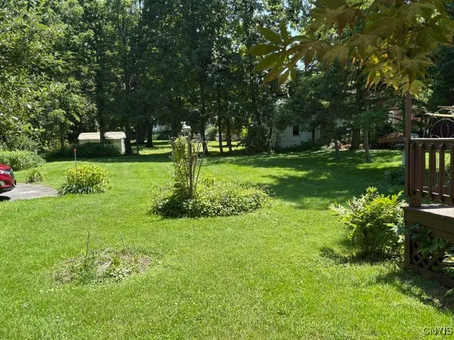 Nice large back yard