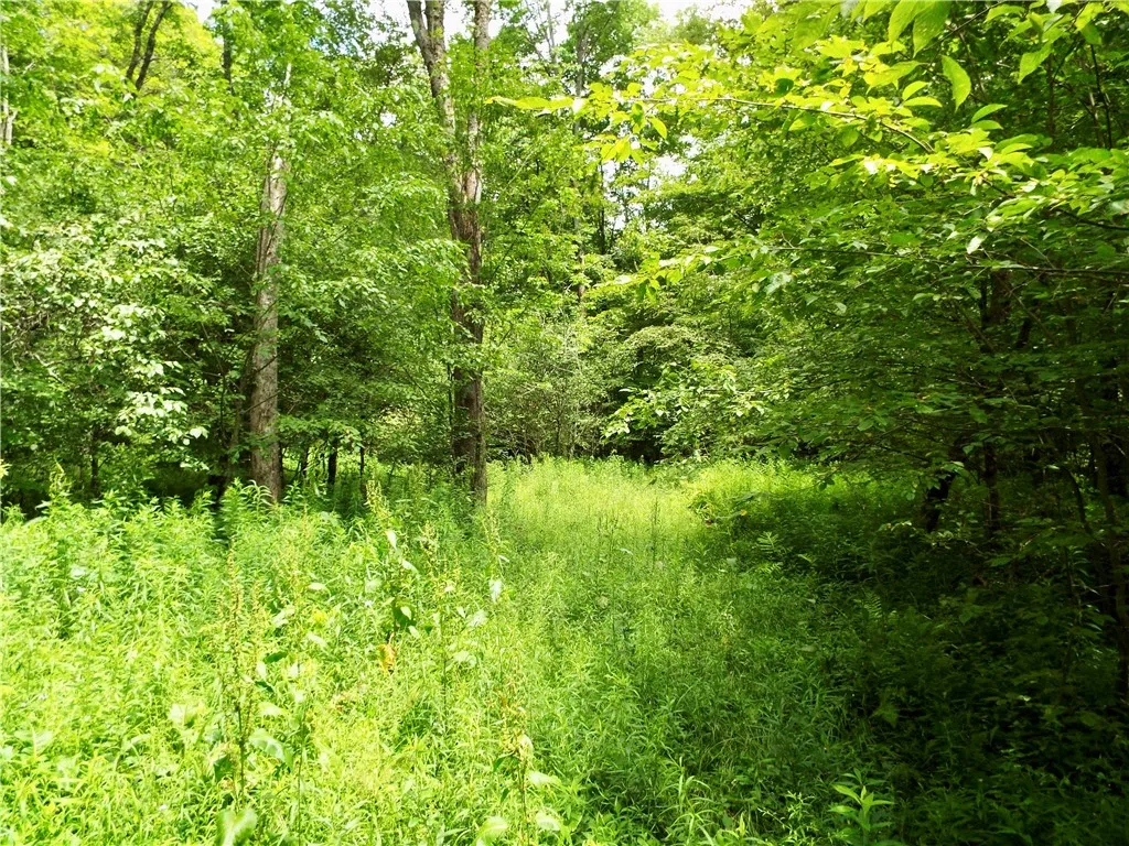 173 Bristol Road, Otsego, New York 13348, Otsego, New York 13348, ,Land,For Sale,173 Bristol Road, Otsego, New York 13348,R1621531