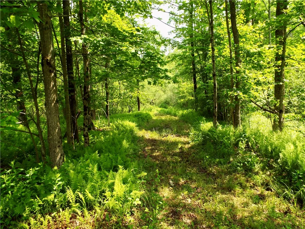 173 Bristol Road, Otsego, New York 13348, Otsego, New York 13348, ,Land,For Sale,173 Bristol Road, Otsego, New York 13348,R1621531