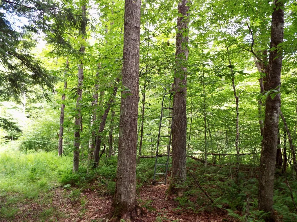 173 Bristol Road, Otsego, New York 13348, Otsego, New York 13348, ,Land,For Sale,173 Bristol Road, Otsego, New York 13348,R1621531
