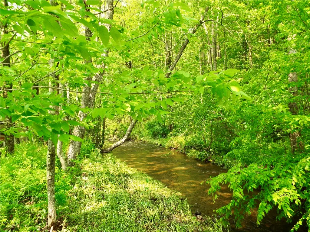 173 Bristol Road, Otsego, New York 13348, Otsego, New York 13348, ,Land,For Sale,173 Bristol Road, Otsego, New York 13348,R1621531