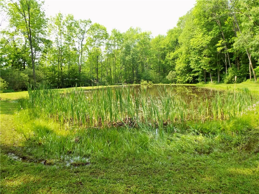 173 Bristol Road, Otsego, New York 13348, Otsego, New York 13348, ,Land,For Sale,173 Bristol Road, Otsego, New York 13348,R1621531