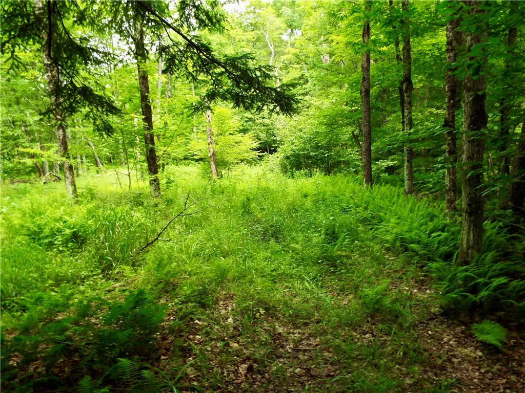 173 Bristol Road, Otsego, New York 13348, Otsego, New York 13348, ,Land,For Sale,173 Bristol Road, Otsego, New York 13348,R1621531