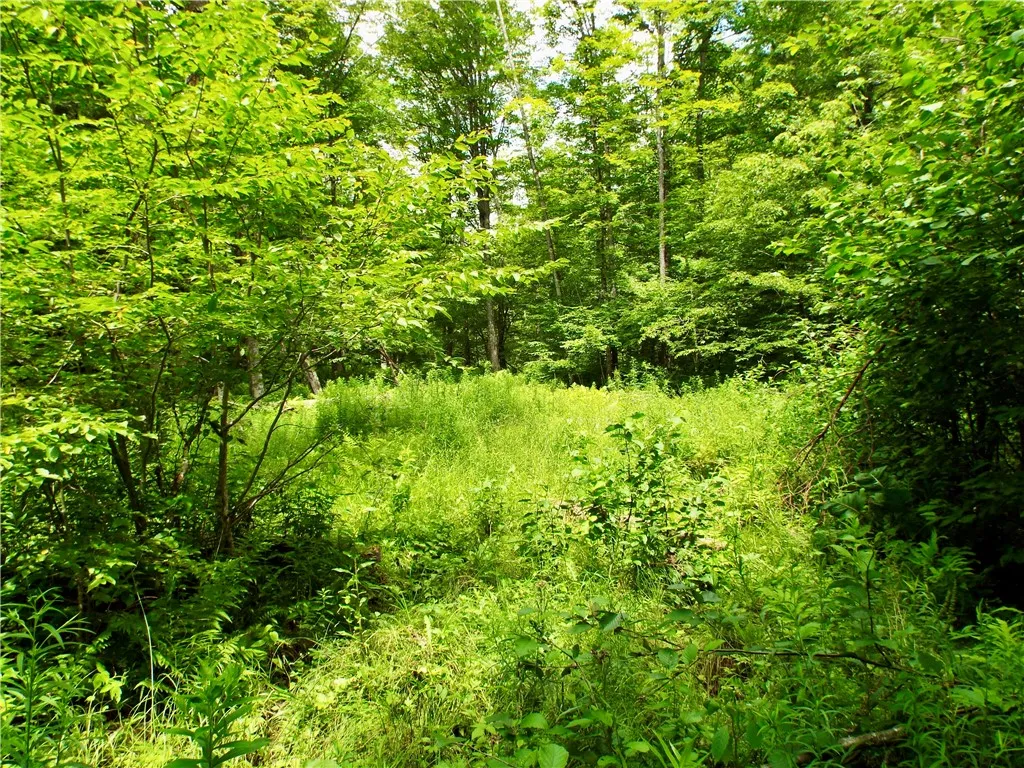 173 Bristol Road, Otsego, New York 13348, Otsego, New York 13348, ,Land,For Sale,173 Bristol Road, Otsego, New York 13348,R1621531