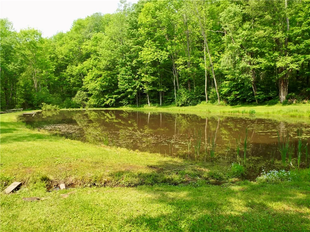 173 Bristol Road, Otsego, New York 13348, Otsego, New York 13348, ,Land,For Sale,173 Bristol Road, Otsego, New York 13348,R1621531