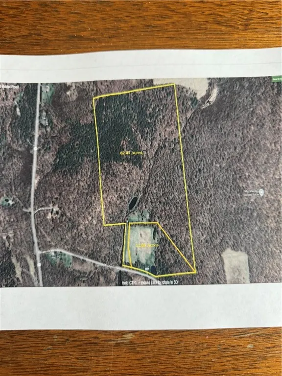 173 Bristol Road, Otsego, New York 13348, Otsego, New York 13348, ,Land,For Sale,173 Bristol Road, Otsego, New York 13348,R1621531