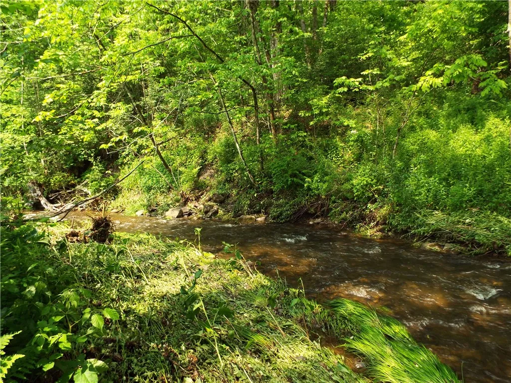 173 Bristol Road, Otsego, New York 13348, Otsego, New York 13348, ,Land,For Sale,173 Bristol Road, Otsego, New York 13348,R1621531