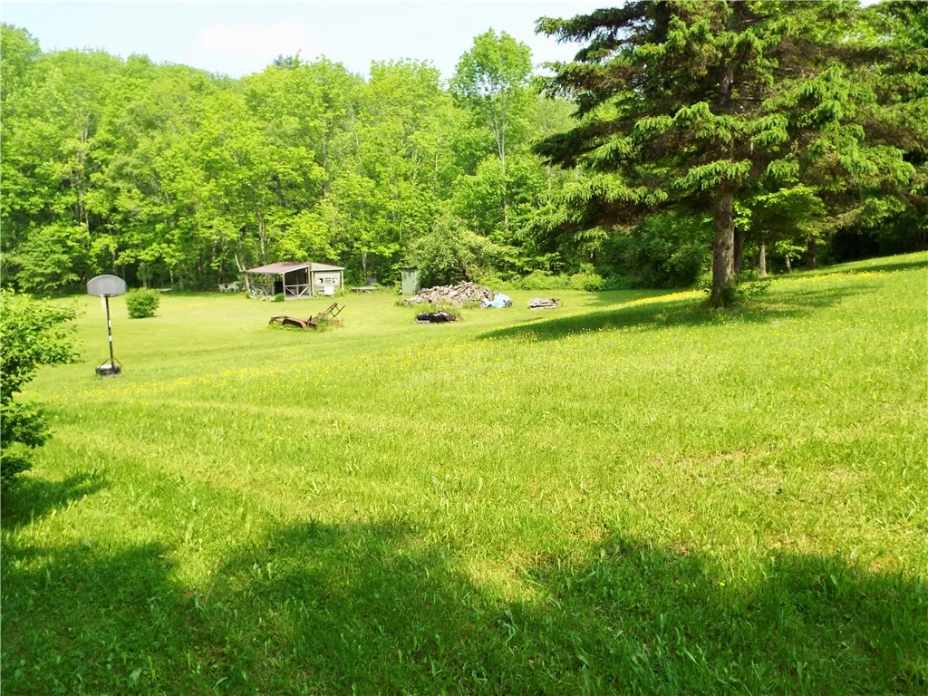 173 Bristol Road, Otsego, New York 13348, Otsego, New York 13348, ,Land,For Sale,173 Bristol Road, Otsego, New York 13348,R1621531