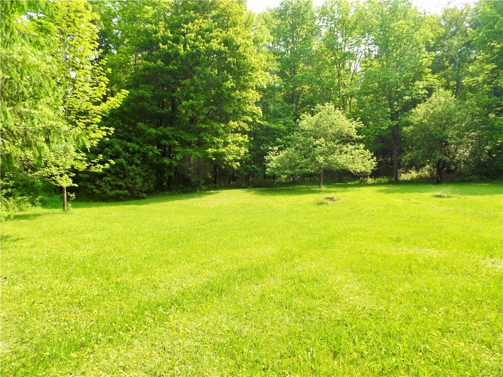 173 Bristol Road, Otsego, New York 13348, Otsego, New York 13348, ,Land,For Sale,173 Bristol Road, Otsego, New York 13348,R1621531
