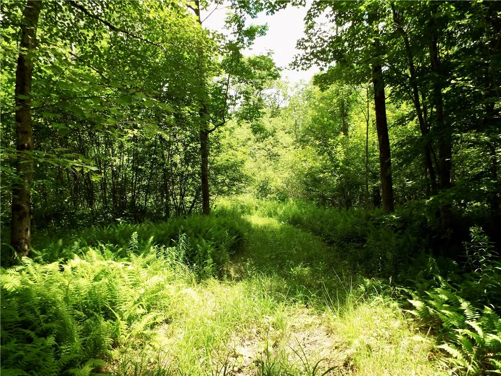 173 Bristol Road, Otsego, New York 13348, Otsego, New York 13348, ,Land,For Sale,173 Bristol Road, Otsego, New York 13348,R1621531